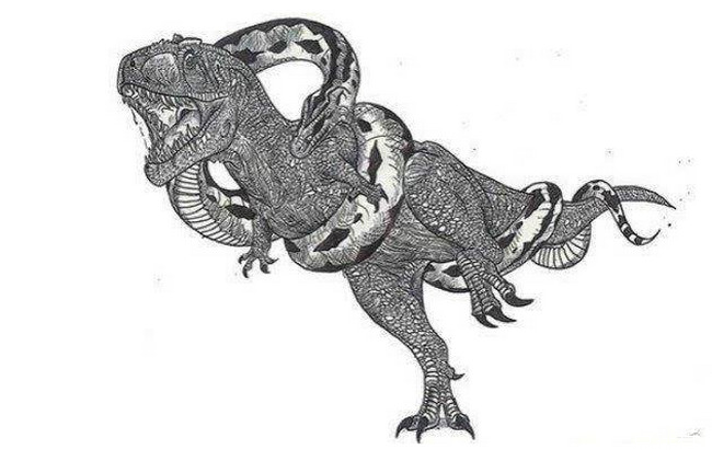 沃那比蛇属于巨蛇科中的一员,身长至少有5-6米,最早被发现在澳大利亚