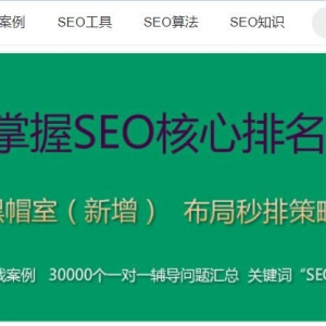 seoַwww.lizseo.com