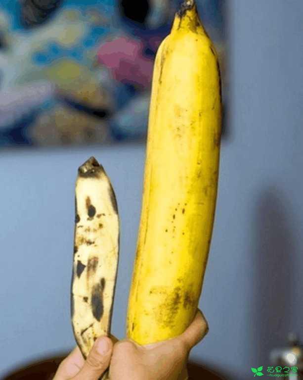 ����������ˮ���������һ��������Ե�����������