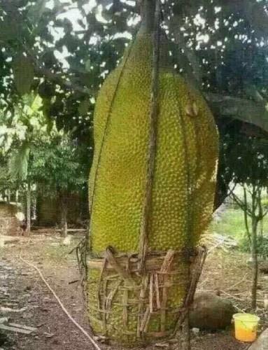 ����������ˮ���������һ��������Ե�����������