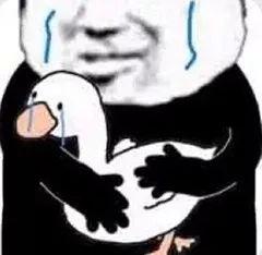 ����֧�������� 1 ���ӣ��鵽�˶���Ŀ�����¼