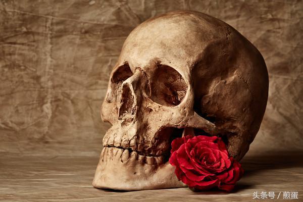 ��֪ʶ������������ᷢ��ʲô�仯����ͦ���������