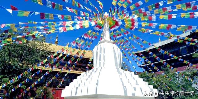 �Լ��ι��ԣ��Ӵ�������������������֮����