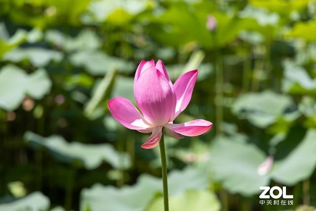 Ů�����������ע���������