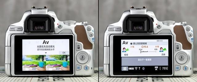 Ů�����������ע���������