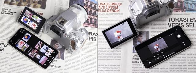 Ů�����������ע���������