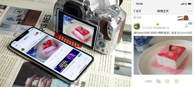 Ů�����������ע���������