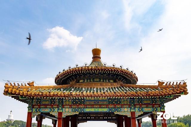 Ů�����������ע���������