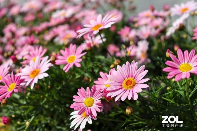 Ů�����������ע���������