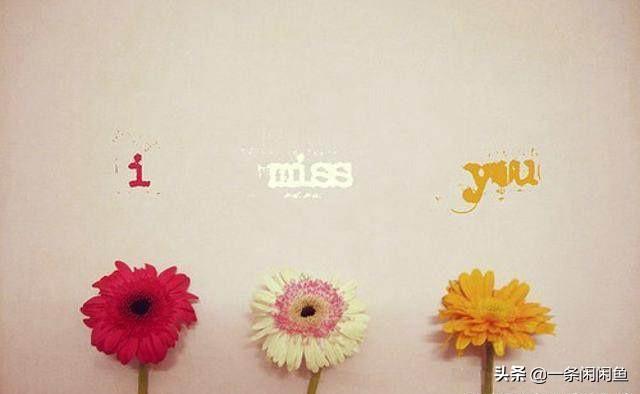 ��Ʒ��Դ-�������Ա���Դ��ô�ң��һ�Դһ���Ա�����Ľ����