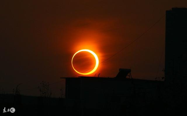 ��ʲô���������׳�۵ľ�����ȫʳ��