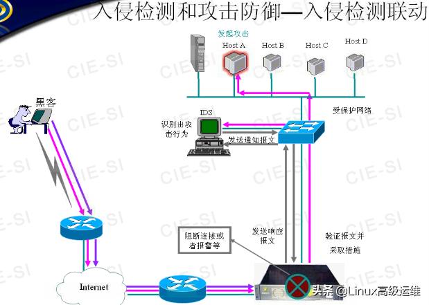 ��ά����ʦ�ر����ܣ�����ǽ����ԭ��ѧϰ�ʼ�