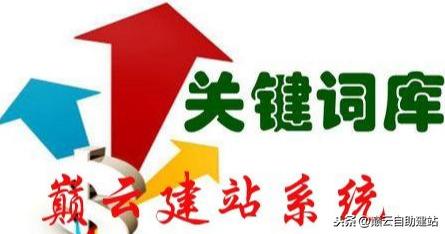 ��ô����վ�ƹ㣿SEO�Ż�������ô�ã���վ������������Щ��