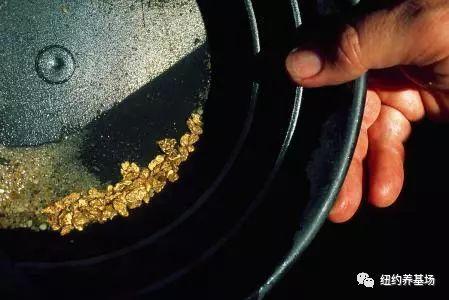 �Ӳ�����ħ�䡪����Σ���е�����