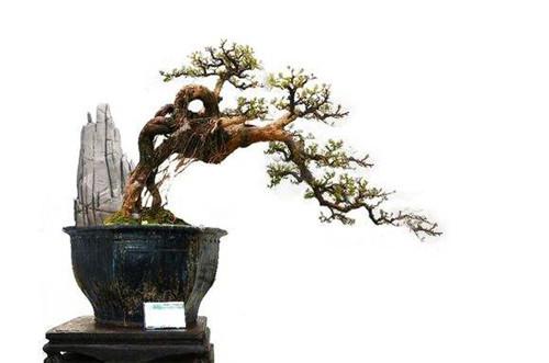 �����ʲô�����������