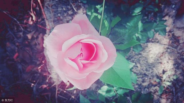 �����ʲô�����������