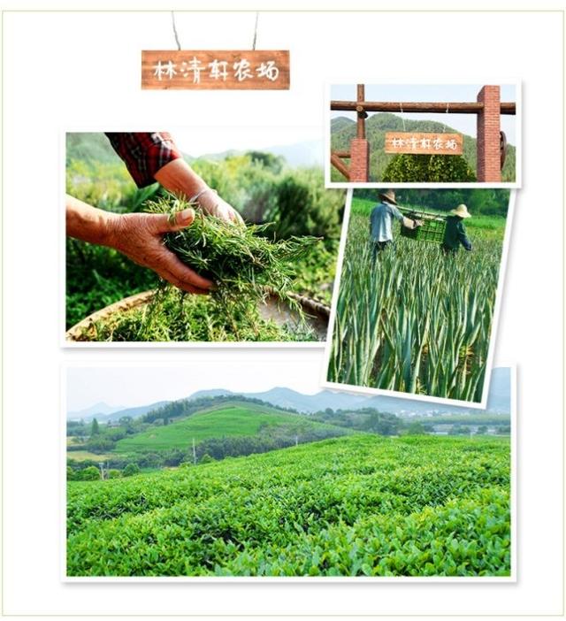 ��������ο�һƿɽ�軨�Ϳ���400����ŵꣿ