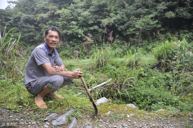 ũ����Щ���ŵ�˵��һֱ���������أ�����е�����