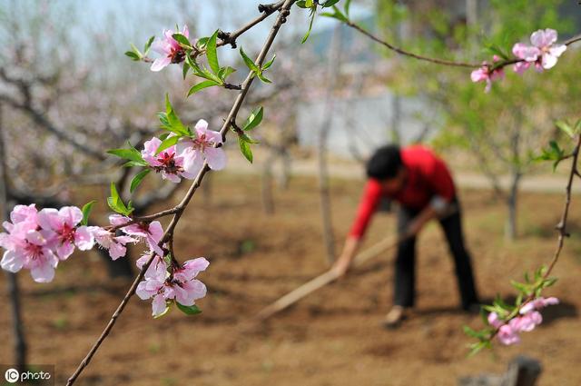 ũ������캵������Խ�԰����ʲô��˼�������ڿ��е�����