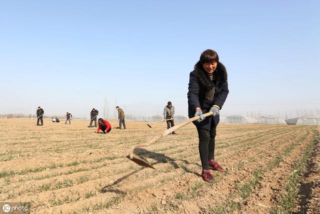 ũ������캵������Խ�԰����ʲô��˼�������ڿ��е�����