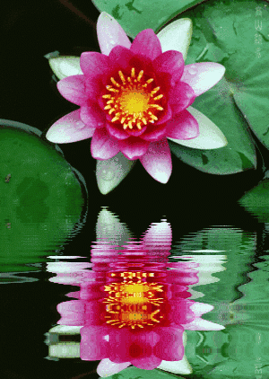 �������飬���������������Լ�������Ϊ������ʲô���ûڣ����٣�