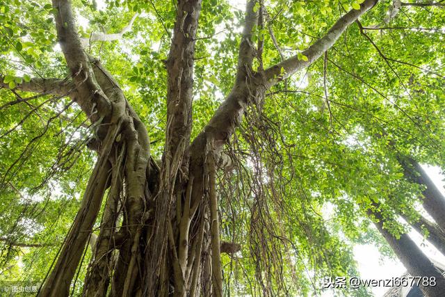 ��֪���ĵ�ʱ���ʲô���������ʱ���100�ַ�ʽ