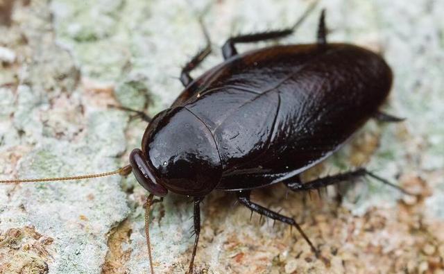 ��������ܷɶ�� ���һ���ʲô