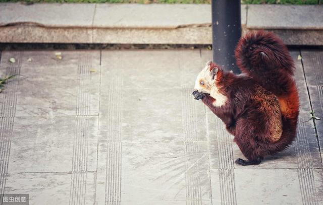 �����������࣬���˳��䡰��˲����ҡ������ǿ�����ѧ��������