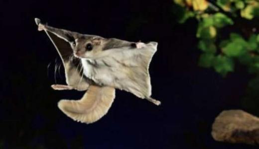 �����������࣬���˳��䡰��˲����ҡ������ǿ�����ѧ��������