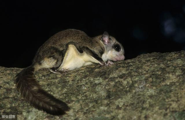 �����������࣬���˳��䡰��˲����ҡ������ǿ�����ѧ��������