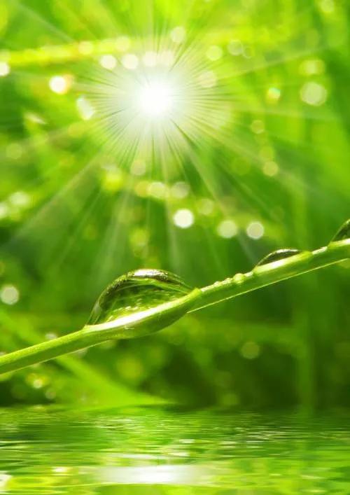 ֪�㳣�֣���һ�ֶ��������ʽ