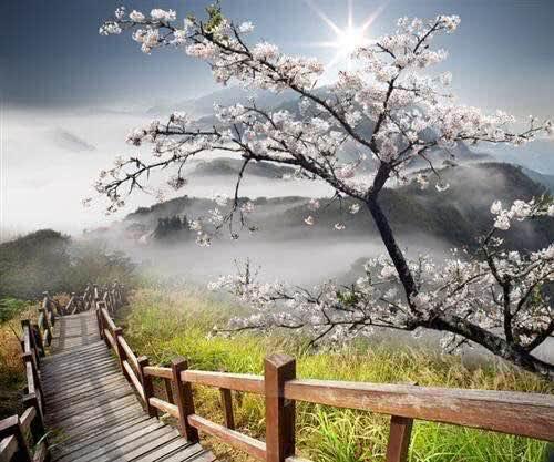 ���Ĺ�������Զ����������·��ͨ