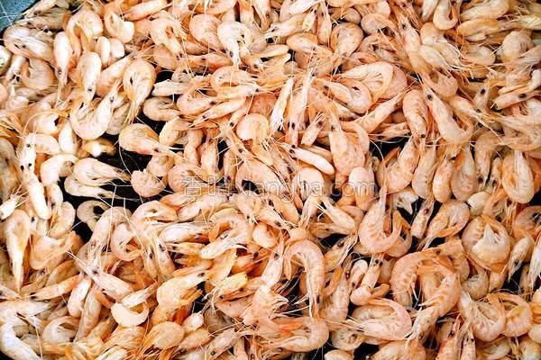 С��Ϻ��ζ�ֲ��ƣ�����ʳ����ô����Ӫ���Ų�����ʧ