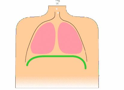 Ϊʲô����ò�ͣ�����ò���С�£�����Ԥʾ�ż�����5�м�ֹ��