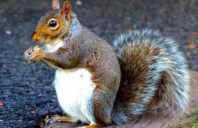 �����β����ʲô���� ����β�����ô�ȫ