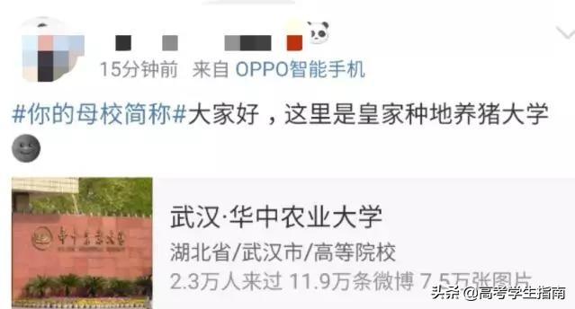 ���ĸУ�����ʲô�� ������Щ��ƣ�