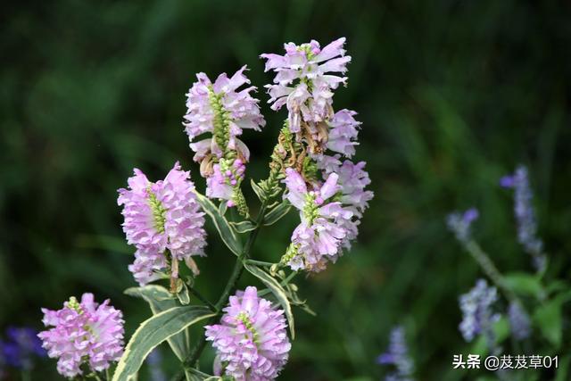 ����֮�������������ԭ��ÿһ��������Ҫ��д��Ͻ�����ȥ