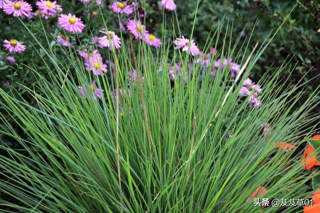 ����֮�������������ԭ��ÿһ��������Ҫ��д��Ͻ�����ȥ