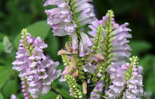 ����֮�������������ԭ��ÿһ��������Ҫ��д��Ͻ�����ȥ