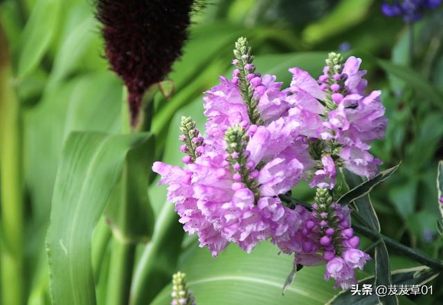 ����֮�������������ԭ��ÿһ��������Ҫ��д��Ͻ�����ȥ