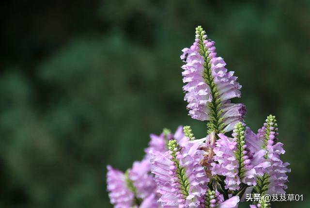 ����֮�������������ԭ��ÿһ��������Ҫ��д��Ͻ�����ȥ