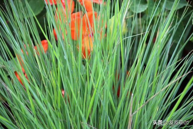 ����֮�������������ԭ��ÿһ��������Ҫ��д��Ͻ�����ȥ