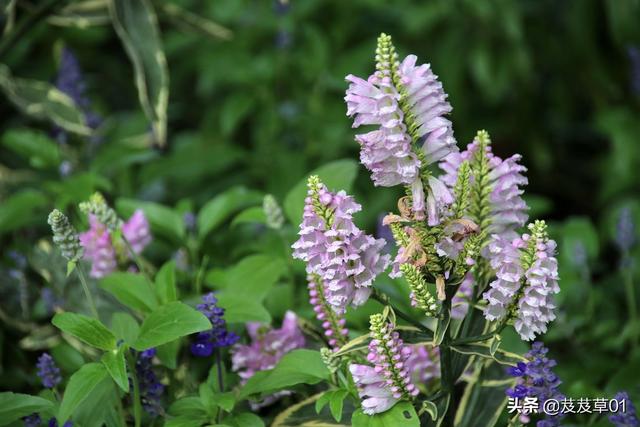 ����֮�������������ԭ��ÿһ��������Ҫ��д��Ͻ�����ȥ