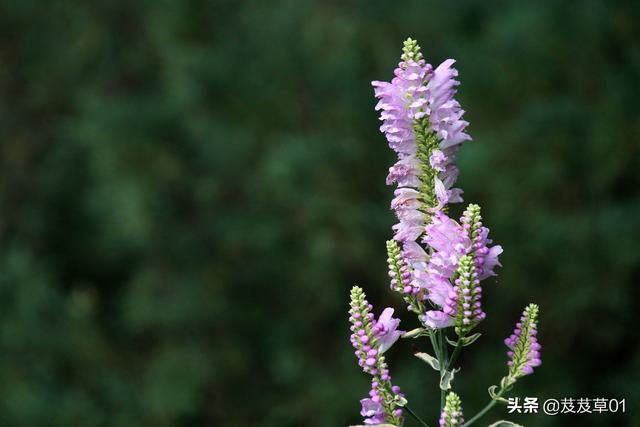 ����֮�������������ԭ��ÿһ��������Ҫ��д��Ͻ�����ȥ