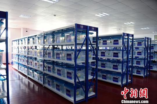 �Ա������������� �㽭��ˮ�����ƽ��永�������