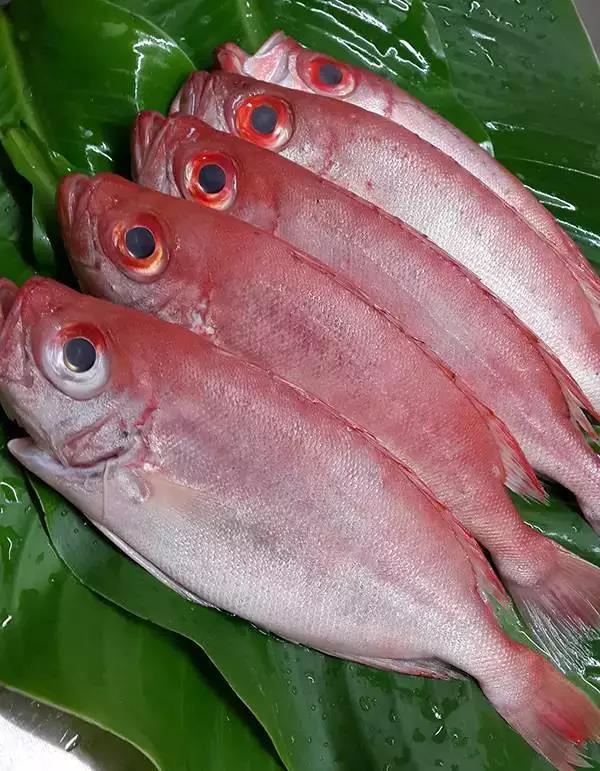 ��ԡ��Իƽ𡱺��Ӹ�������ʮ����㣬����ʶ���֣�