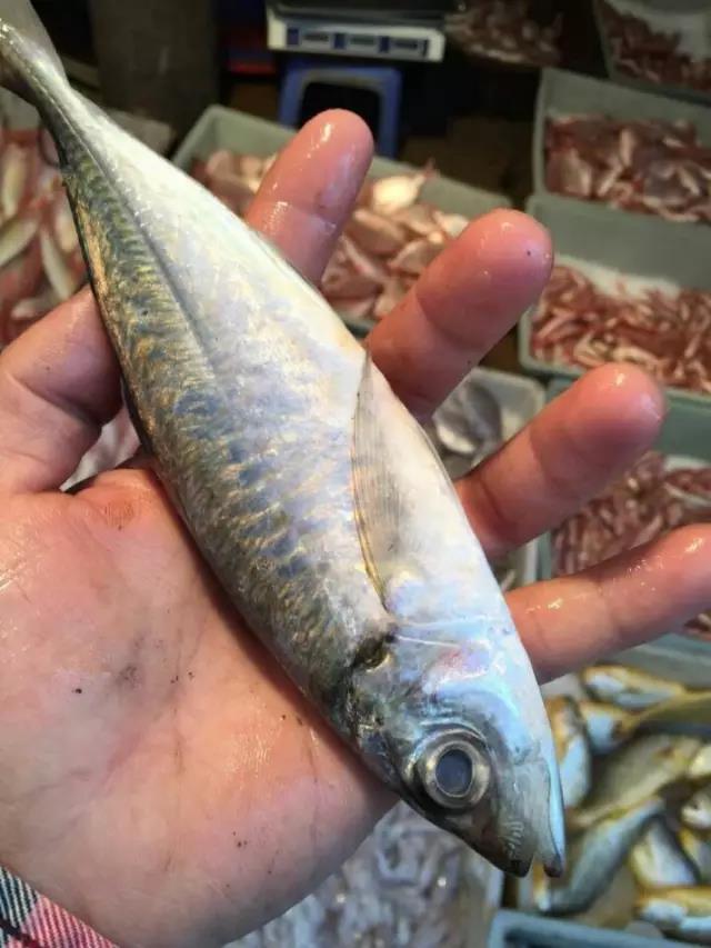 ��ԡ��Իƽ𡱺��Ӹ�������ʮ����㣬����ʶ���֣�