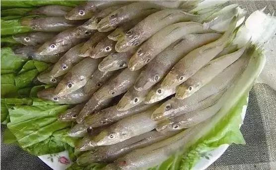 ��ԡ��Իƽ𡱺��Ӹ�������ʮ����㣬����ʶ���֣�