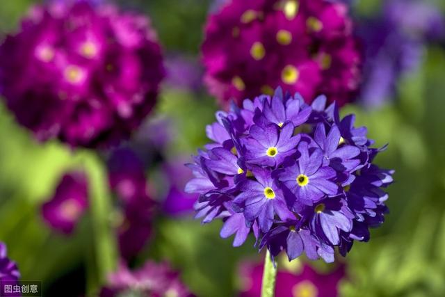 419��ʲô��˼����ѽ����ô�е㺦��ѽ��