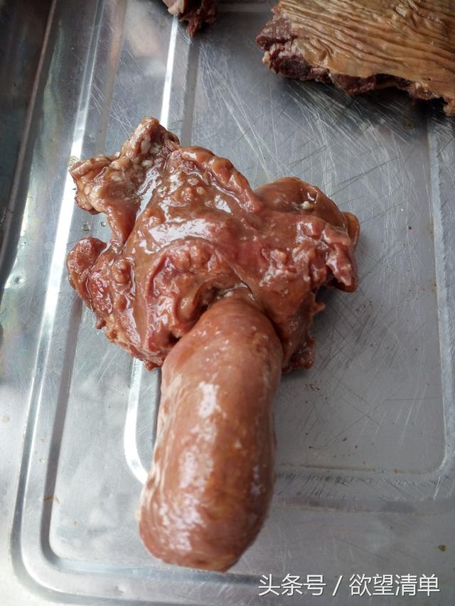 ʳɫ�ԣ�Ҳ���쾭�����